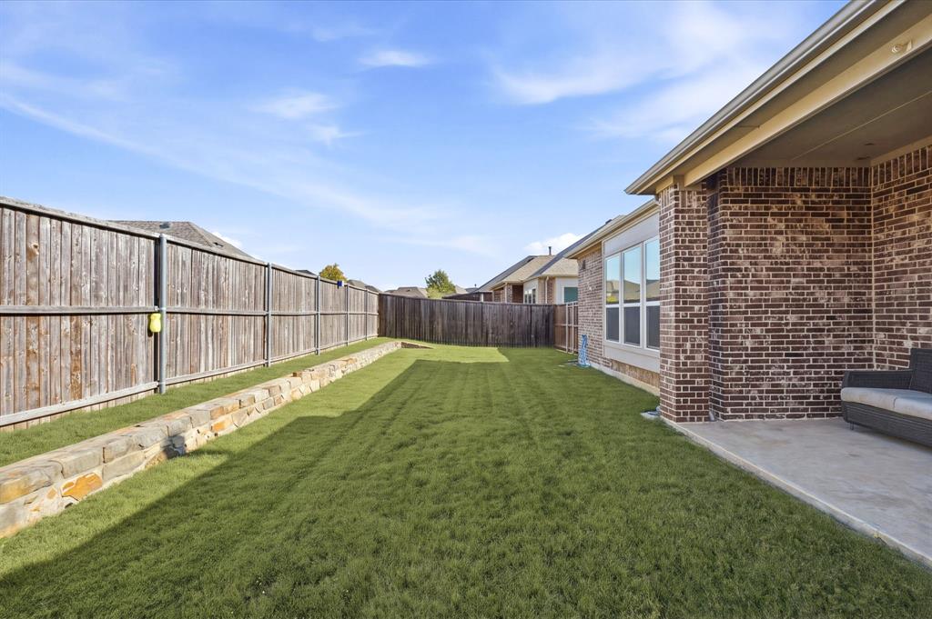 back yard