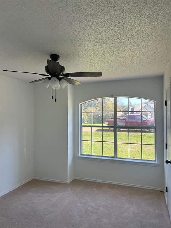 Arched window with decorative grid muntins, neutral carpeting, and ceiling fan with integrated lighting