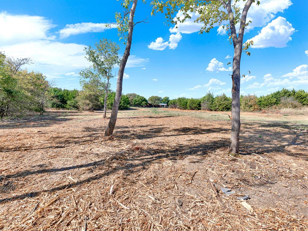 Expansive lot featuring mature trees and established perimeter vegetation