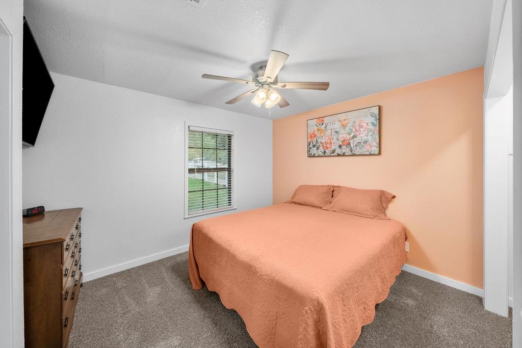 Room featuring neutral-toned carpeting, a single-hung window, and a multi-blade ceiling fan with an integrated light fixture