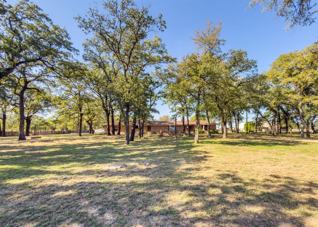 Expansive lot featuring mature trees, natural landscape, and a single-story brick exterior residence