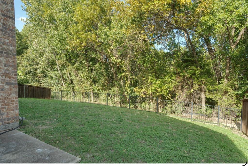 yard backs to green space
