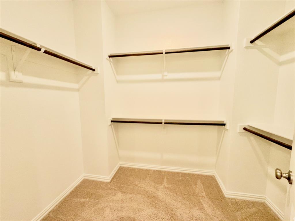 Storage area featuring wall-to-wall carpeting and multi-level shelving with integrated clothing rods