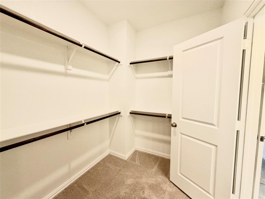 Storage area featuring wall-to-wall shelving with integrated clothing rods, carpeted flooring, and a solid-core panel door