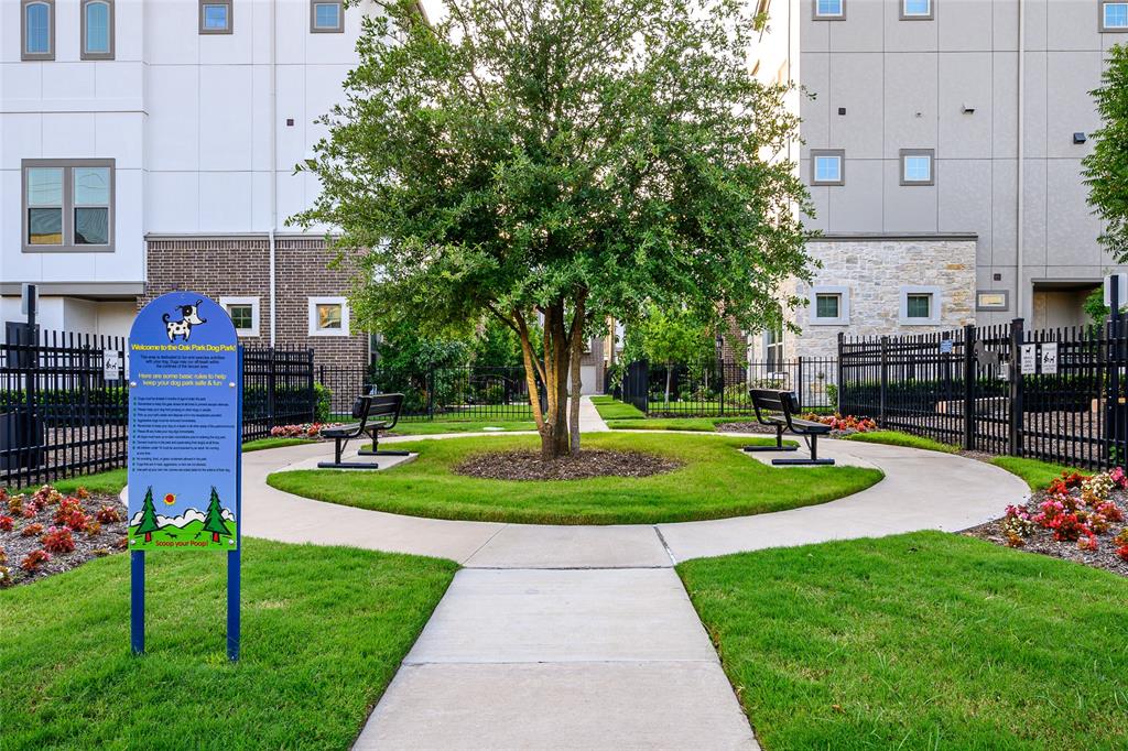 5152 Brickellia Drive, Dallas, TX 75209