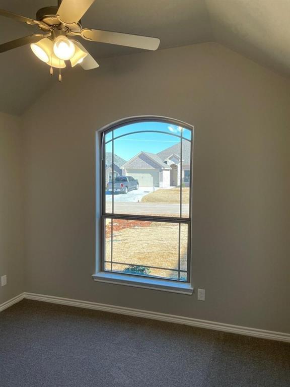 3314 Windcrest Drive, Granbury, TX 76049