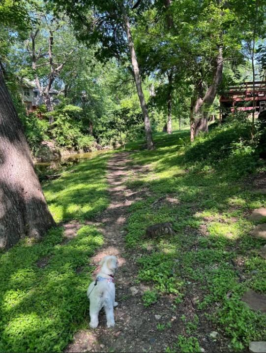 Walking Trails