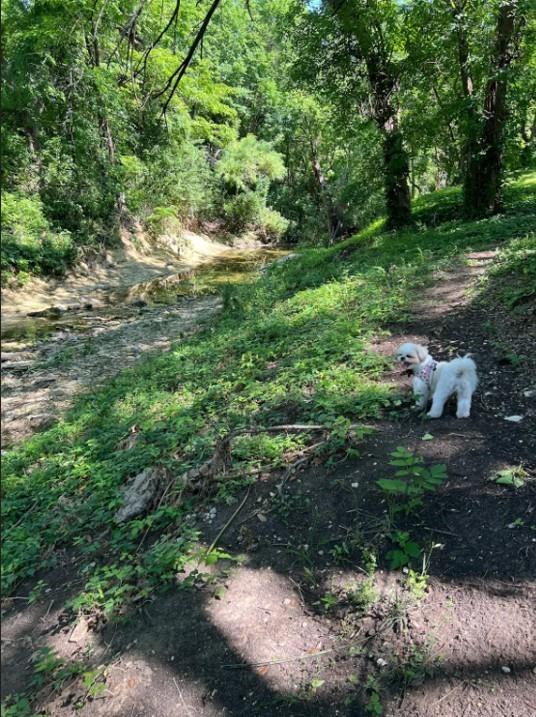 Walking Trails