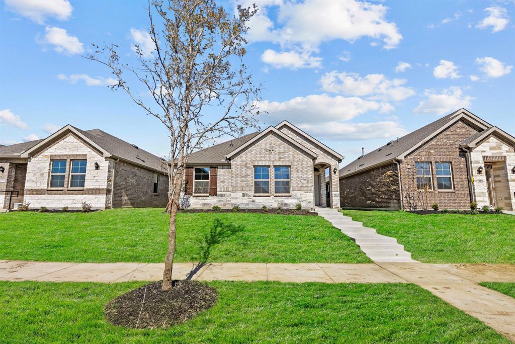 2537 Pikes Peak Way, Celina, TX 75009 2537 Pikes Peak Way, Celina, TX 75009