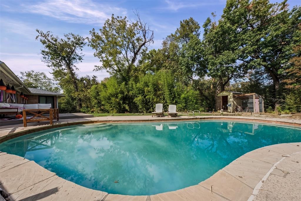 In-ground swimming pool featuring a concrete coping border, concrete patio, and mature tree canopy