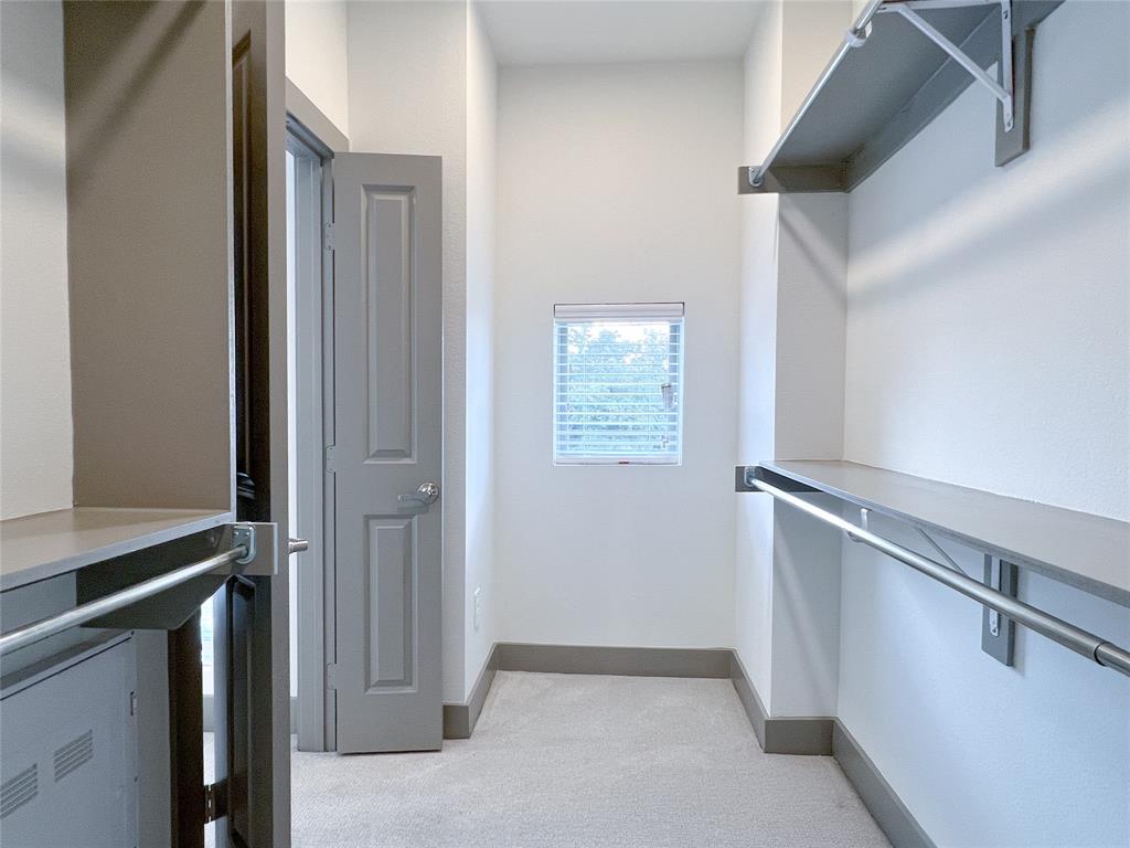 Spacious closet with light carpet