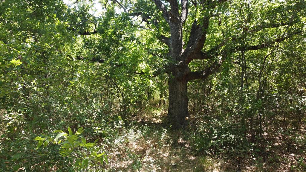 4189 Willow Oak Bend, Royse City, TX 75189