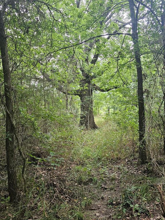 4189 Willow Oak Bend, Royse City, TX 75189