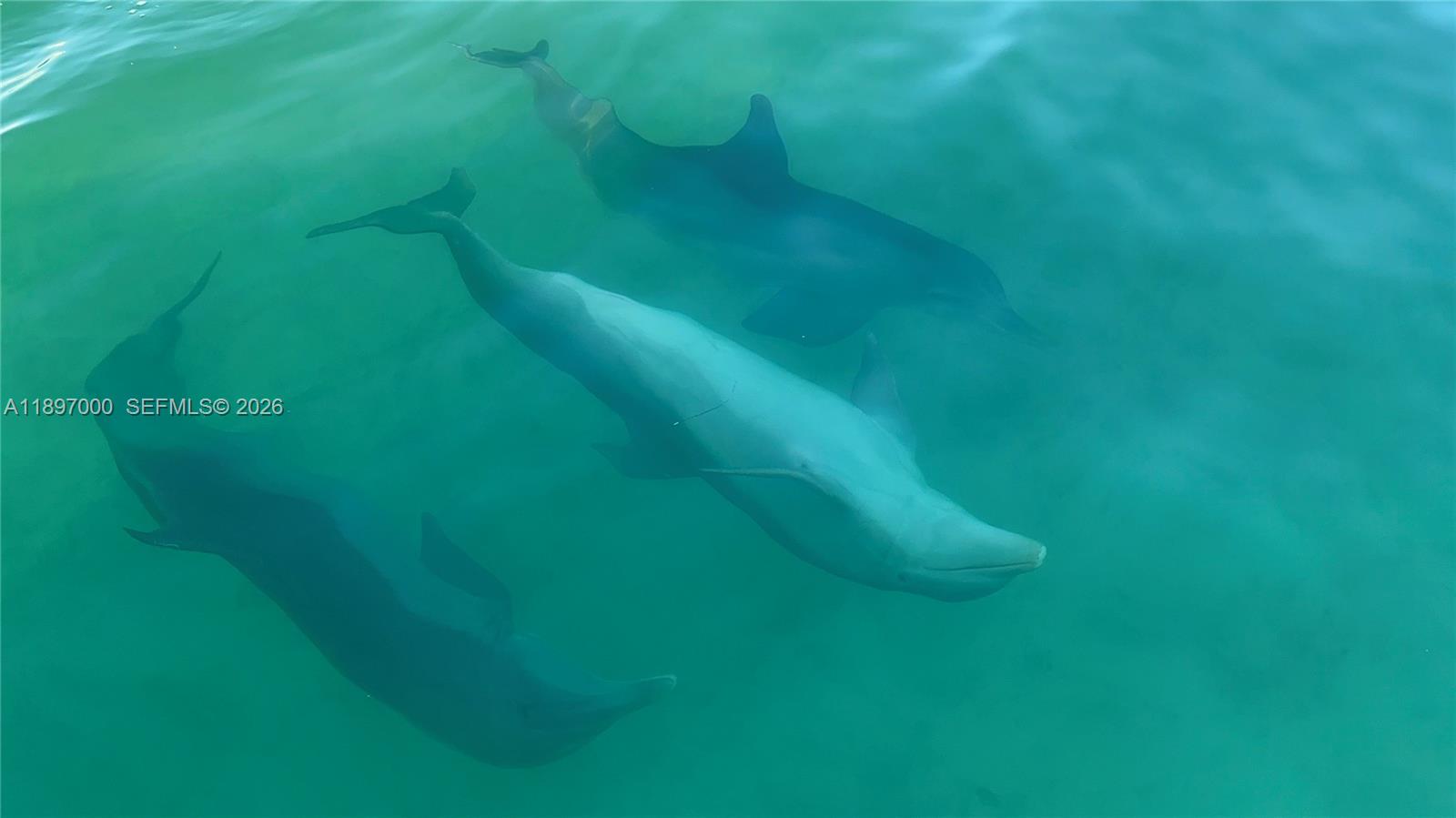Photo 49