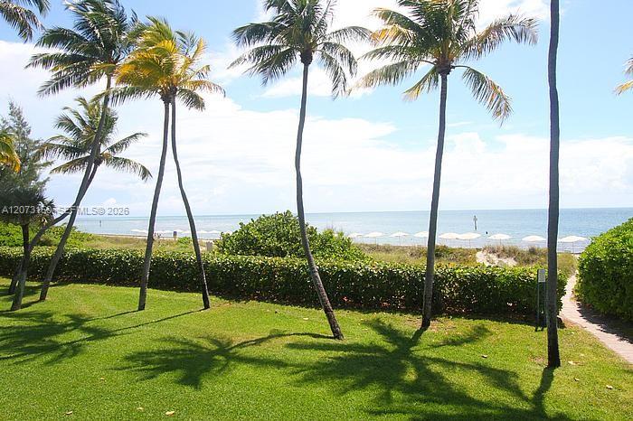 Manicured lawn featuring mature palm trees, dense landscaping, and a path leading to the water