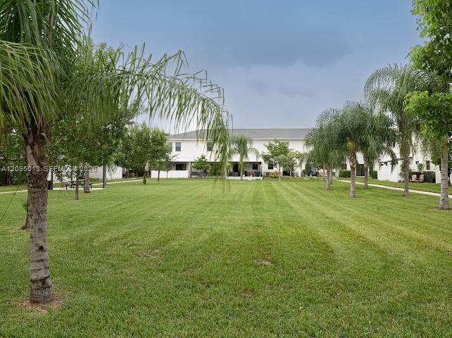 Expansive lawn area featuring mature palm trees, perimeter landscaping, and a paved walkway