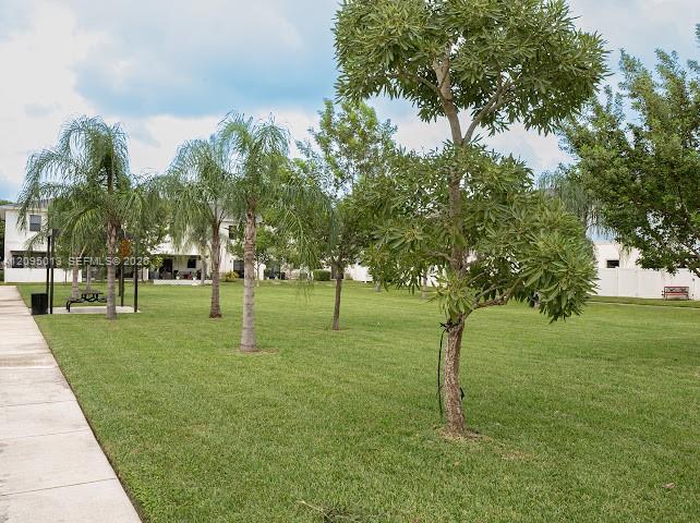 Expansive grounds featuring a manicured lawn, mature trees, ornamental palms, and a concrete walkway