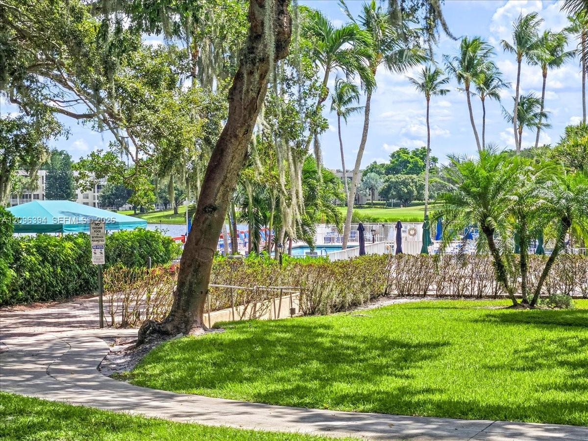 Manicured lawn, mature trees with Spanish moss, paved walkway, tropical landscaping, and aquatic facility