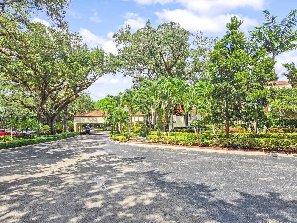Asphalt driveway entrance featuring mature oak trees, tropical palm landscaping, and a covered porte-cochre