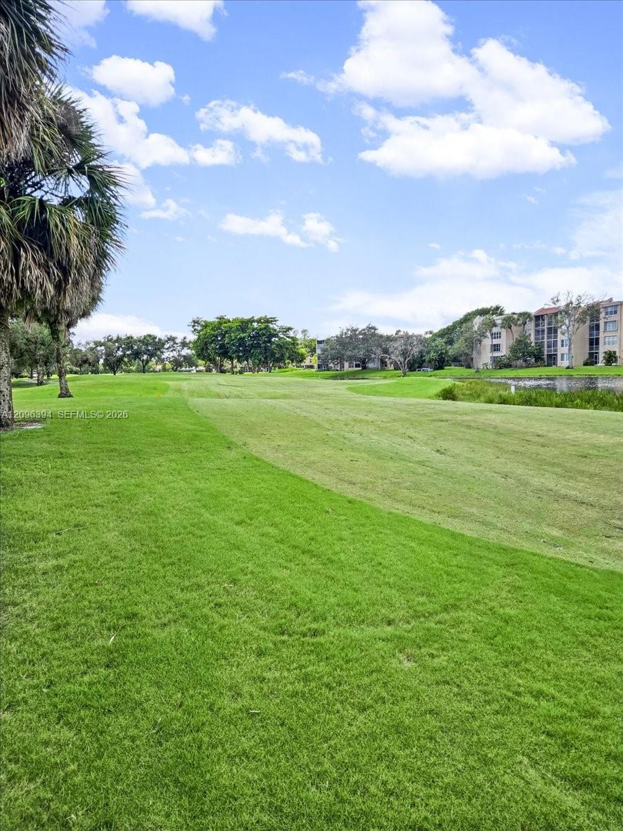 Expansive green space featuring mature palm trees, manicured turf, and a natural water feature