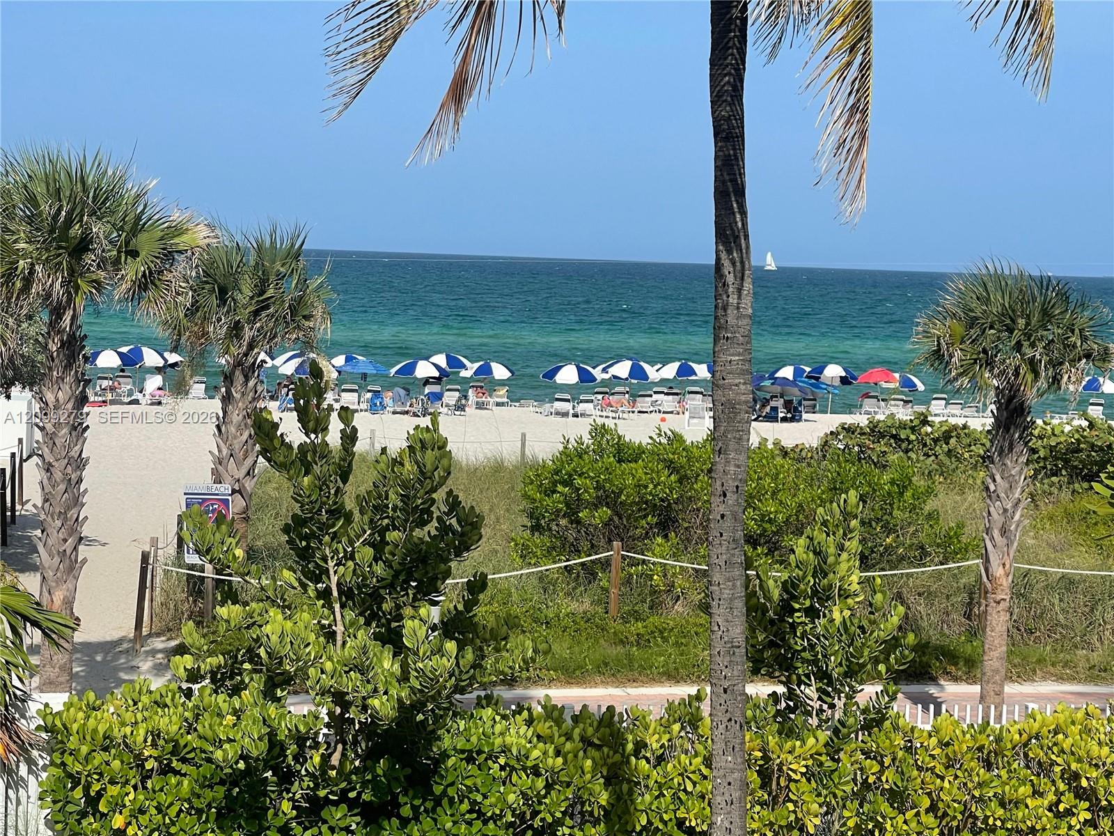 Oceanfront property featuring mature palm trees, native coastal landscaping, and direct access to a sandy beach