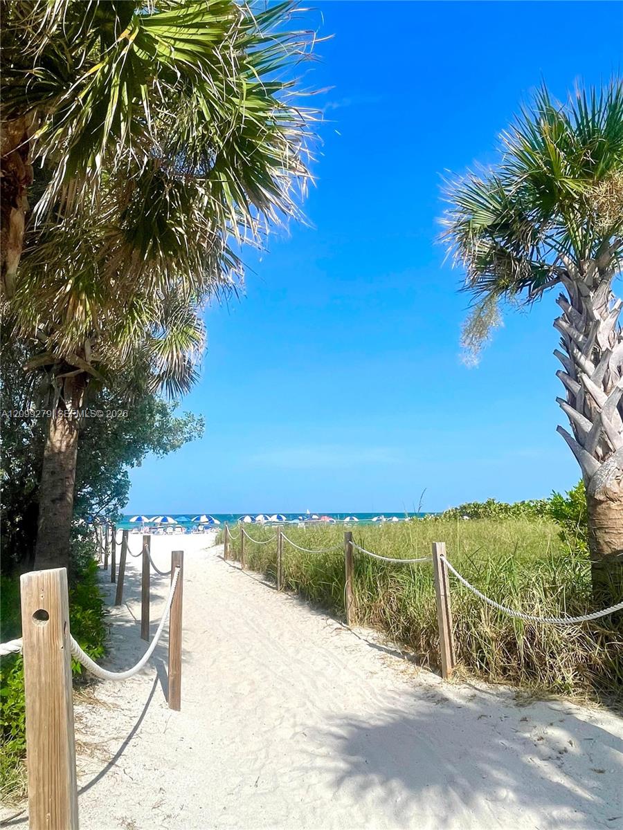 Sandy path featuring rope-and-post fencing framed by mature palm trees and native coastal vegetation