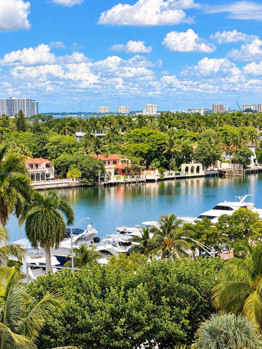 Waterfront location featuring deep-water canal access, private dockage, and lush tropical landscaping