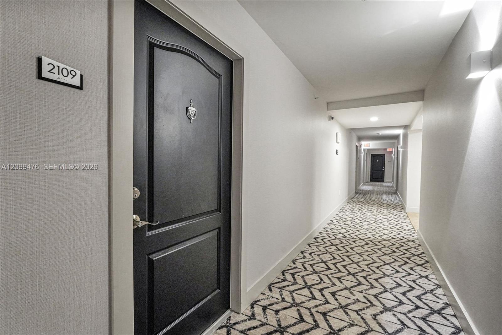 Entryway featuring a dark-toned arched panel door, brushed metal hardware, and geometric patterned carpeting