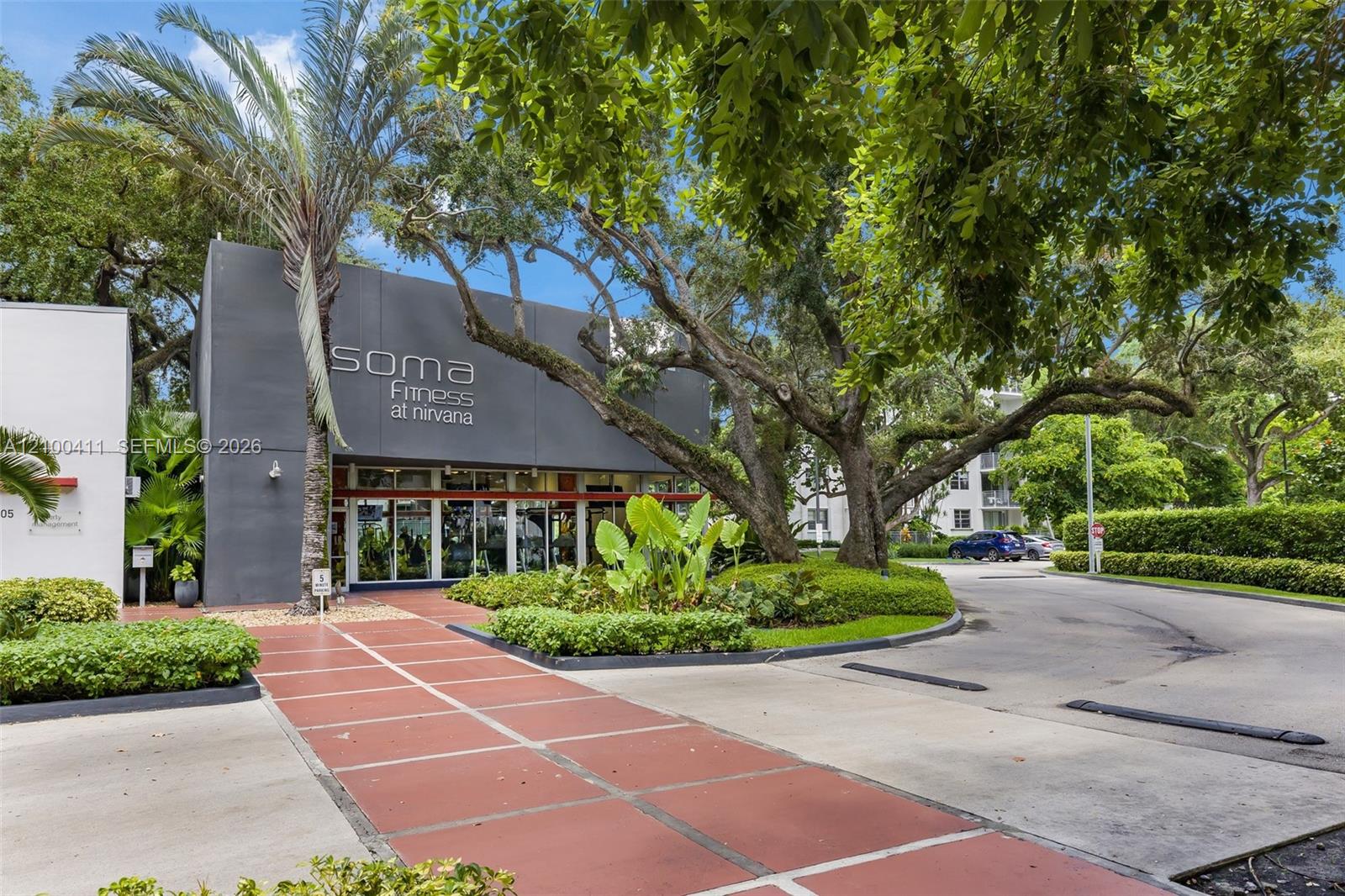 Modern exterior facade featuring dark-toned concrete cladding, full-height glass storefront windows, a paved pedestrian walkway, and mature oak landscaping