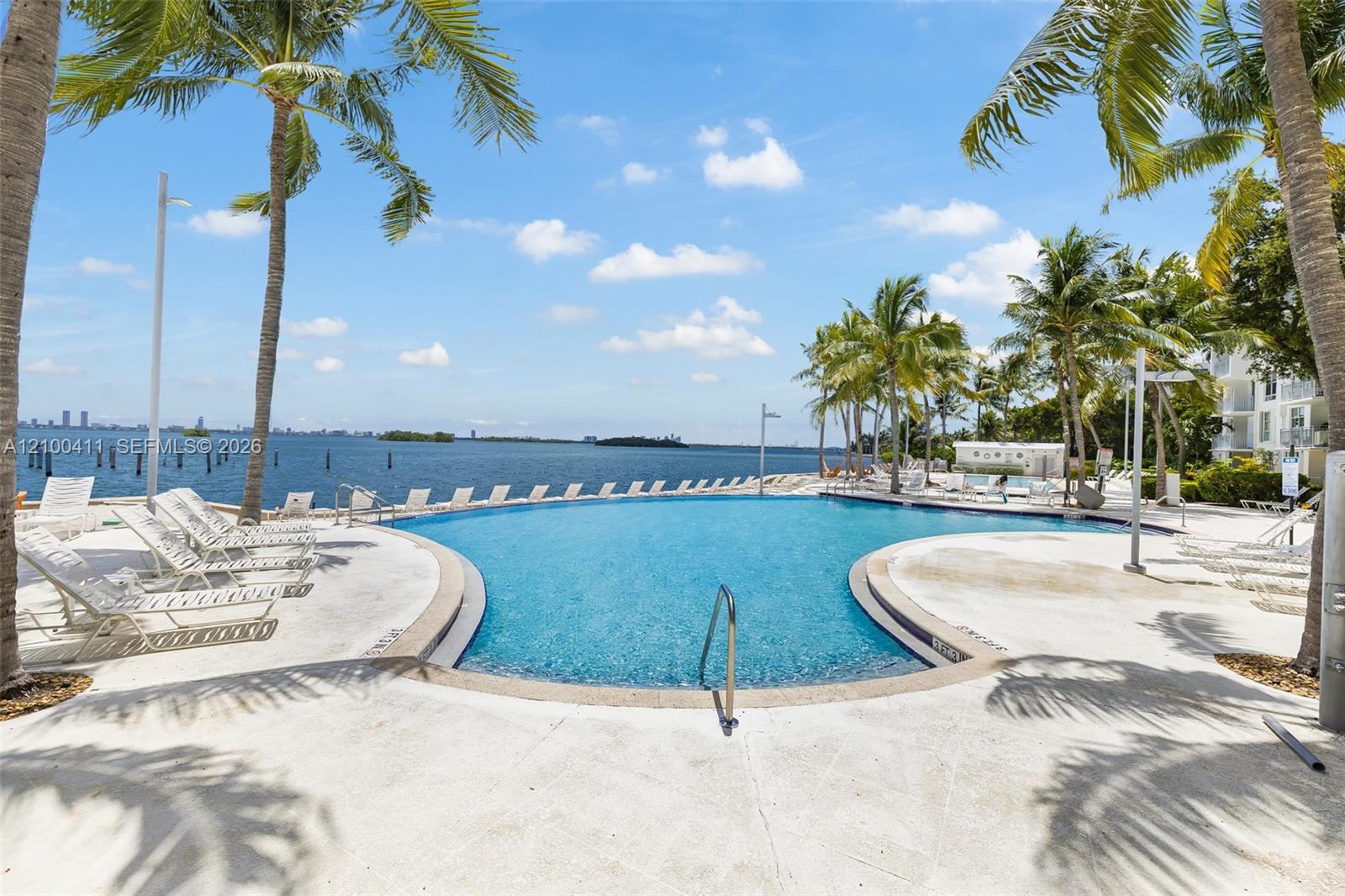 Curved waterfront swimming pool featuring a light-colored hardscape deck and mature palm trees