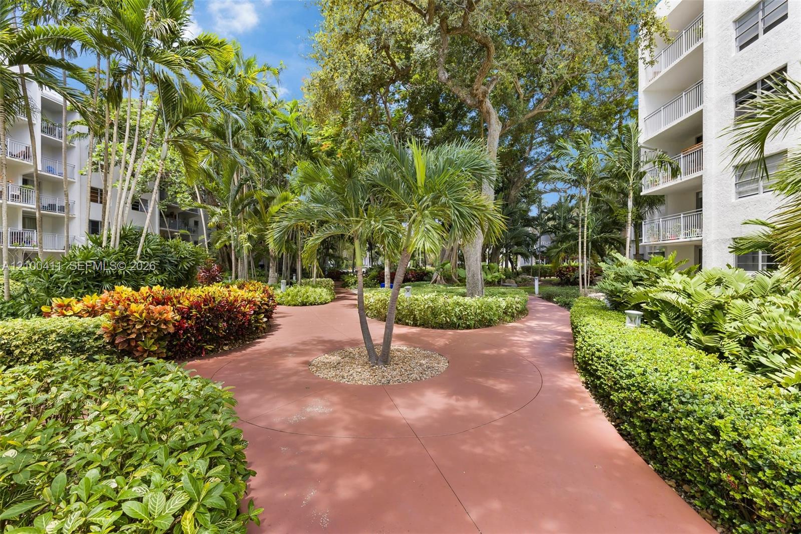 Landscaped courtyard featuring a paved walkway, mature palm trees, sculpted hedges, and established native vegetation