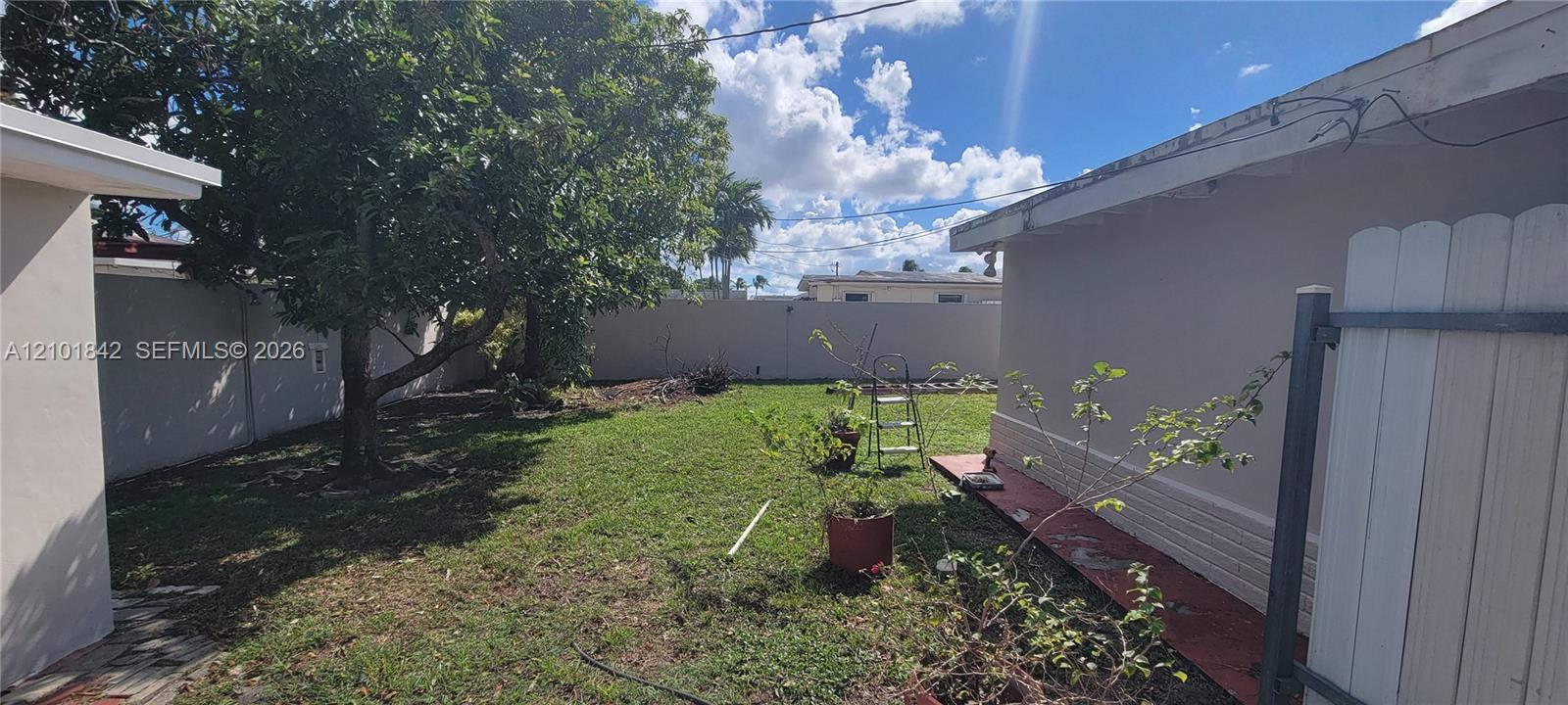 Enclosed backyard featuring a concrete perimeter wall, mature tree, grass lawn, and masonry exterior walls