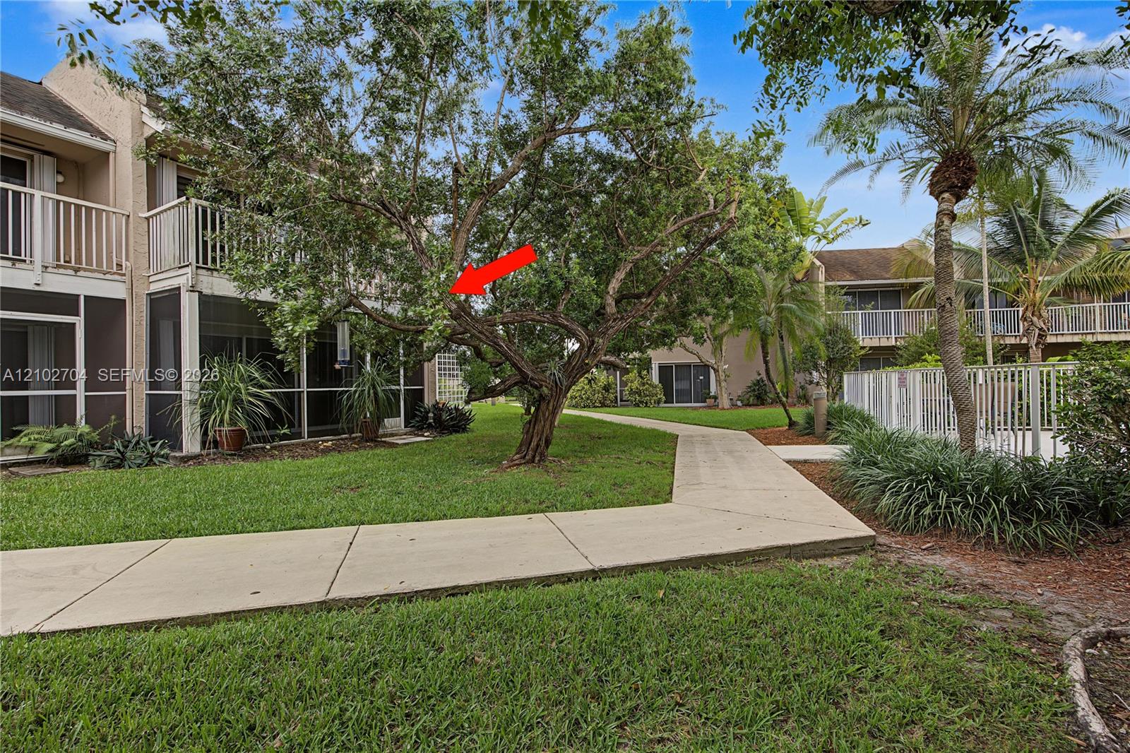 Ground-level exterior with screened-in patio, concrete walkway, mature tree canopy, and surrounding landscaped grounds