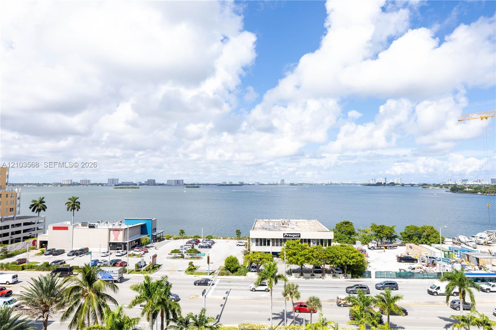 Elevated perspective featuring expansive water frontage and mature palm trees