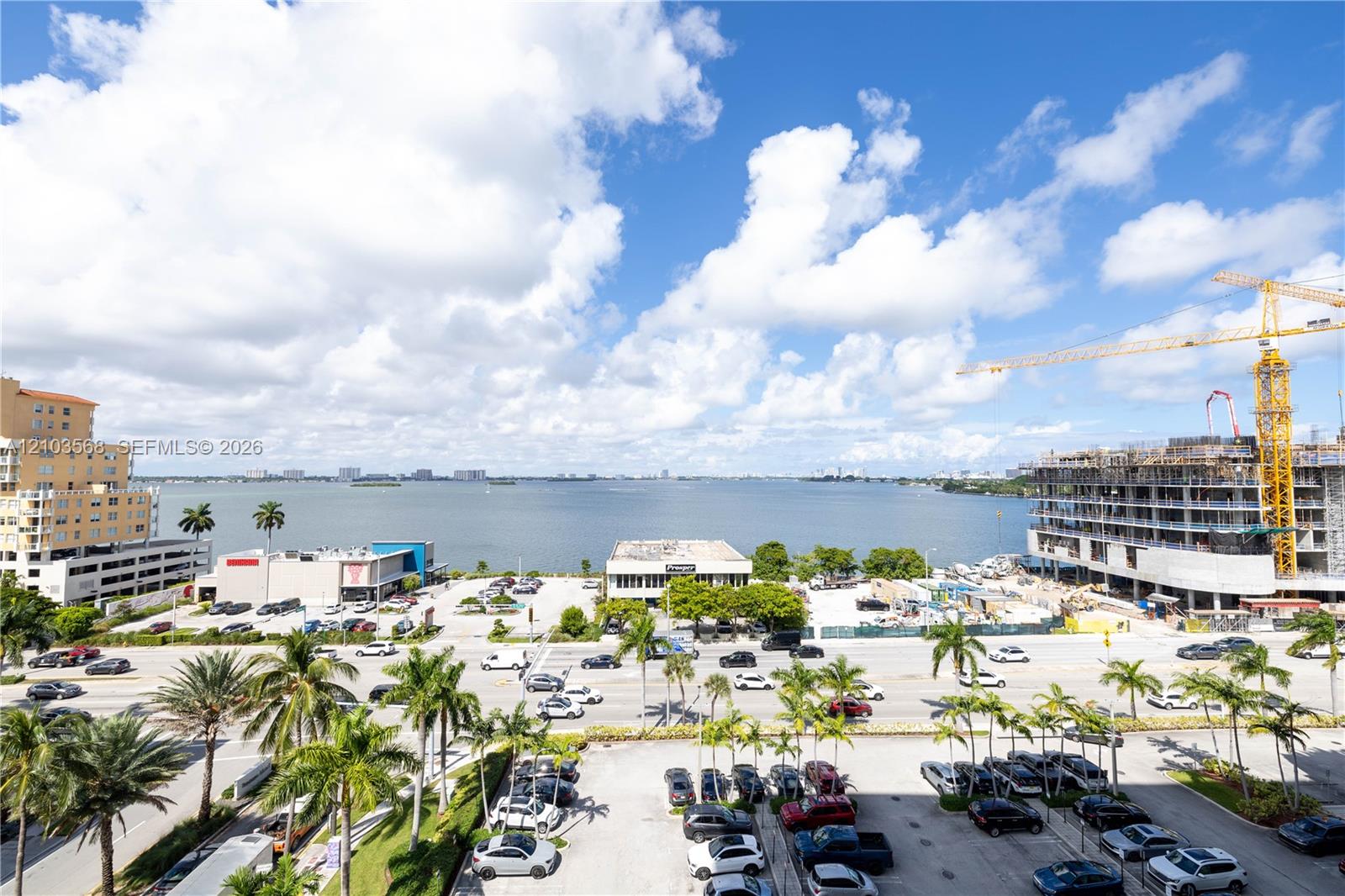 Expansive coastal water frontage featuring tropical palm trees and urban skyline presence
