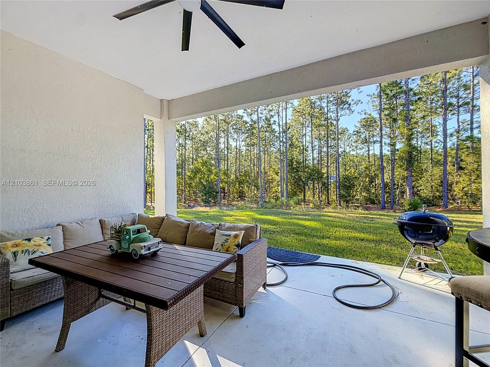 Covered concrete patio featuring a ceiling fan and a backdrop of mature pine trees