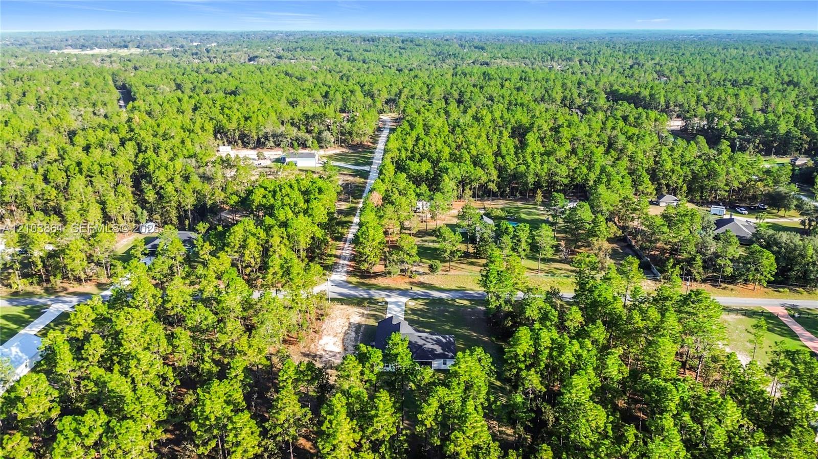 Aerial perspective of a sprawling lot featuring dense mature forest canopy, paved road access, and clearings for residential structures