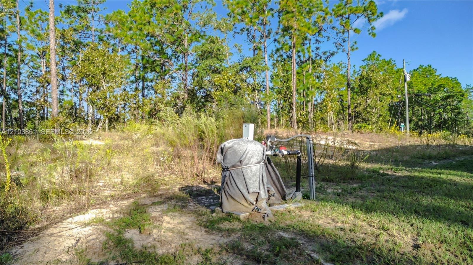 Vacant lot featuring a private well pump and mature pine tree backdrop