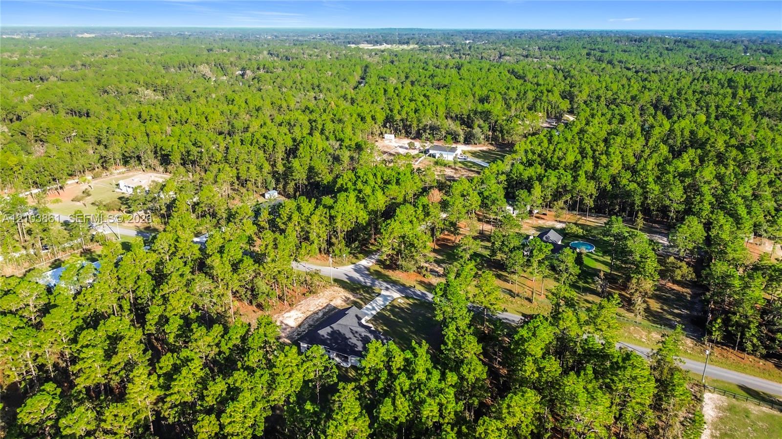 Aerial perspective of a sprawling, wooded parcel featuring dense coniferous canopy and paved access road frontage