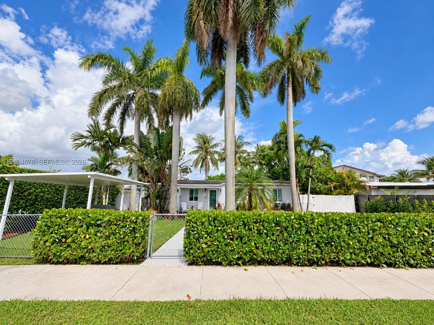 Exterior of the residence featuring mature palm trees, a manicured privacy hedge, a covered carport, and metal chain-link fencing Exterior of the residence featuring mature palm trees, a manicured privacy hedge, a covered carport, and metal chain-link fencing