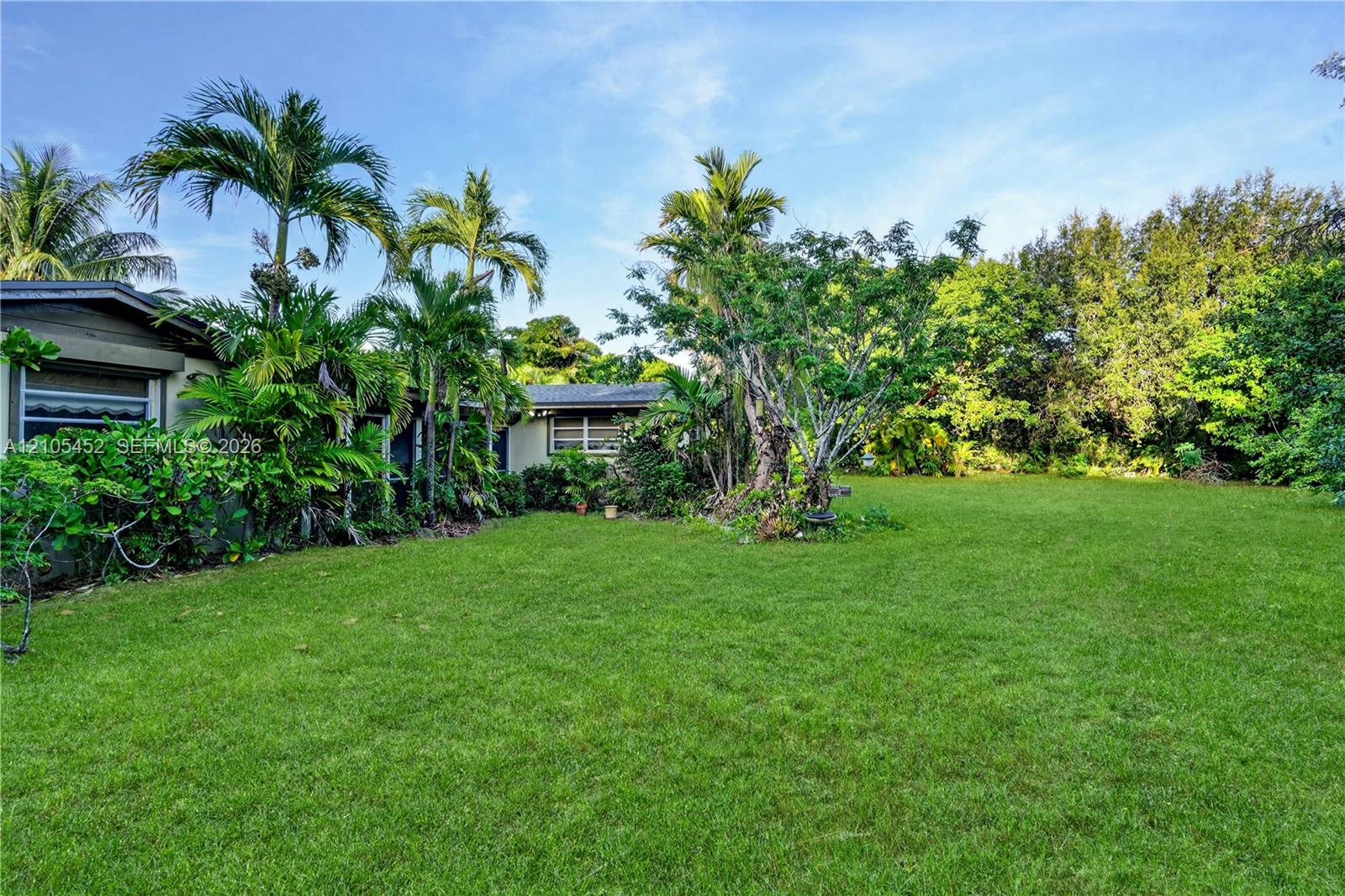 Expansive backyard featuring a large grass lawn, mature tropical landscaping, and palm trees