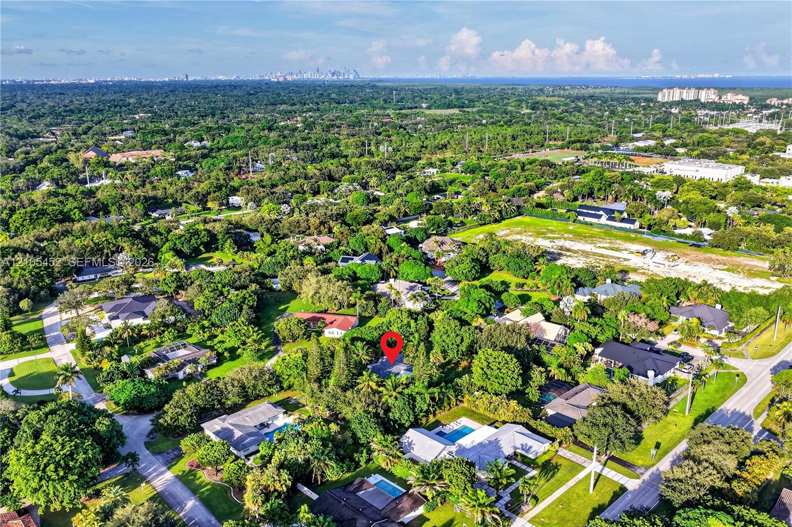 Aerial perspective showcasing a mature, heavily wooded residential canopy with a distant city skyline backdrop