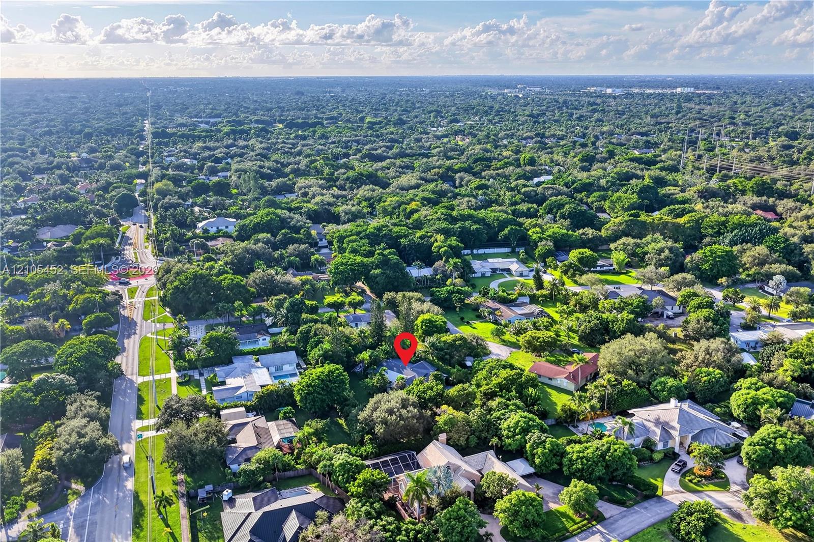 Aerial perspective featuring mature trees, expansive canopy coverage, and dense residential landscaping