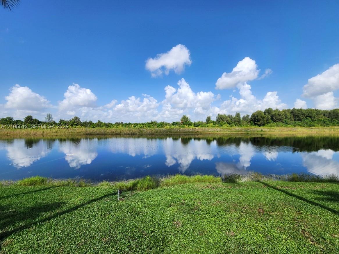 Expansive body of water with a natural shoreline and mature foliage