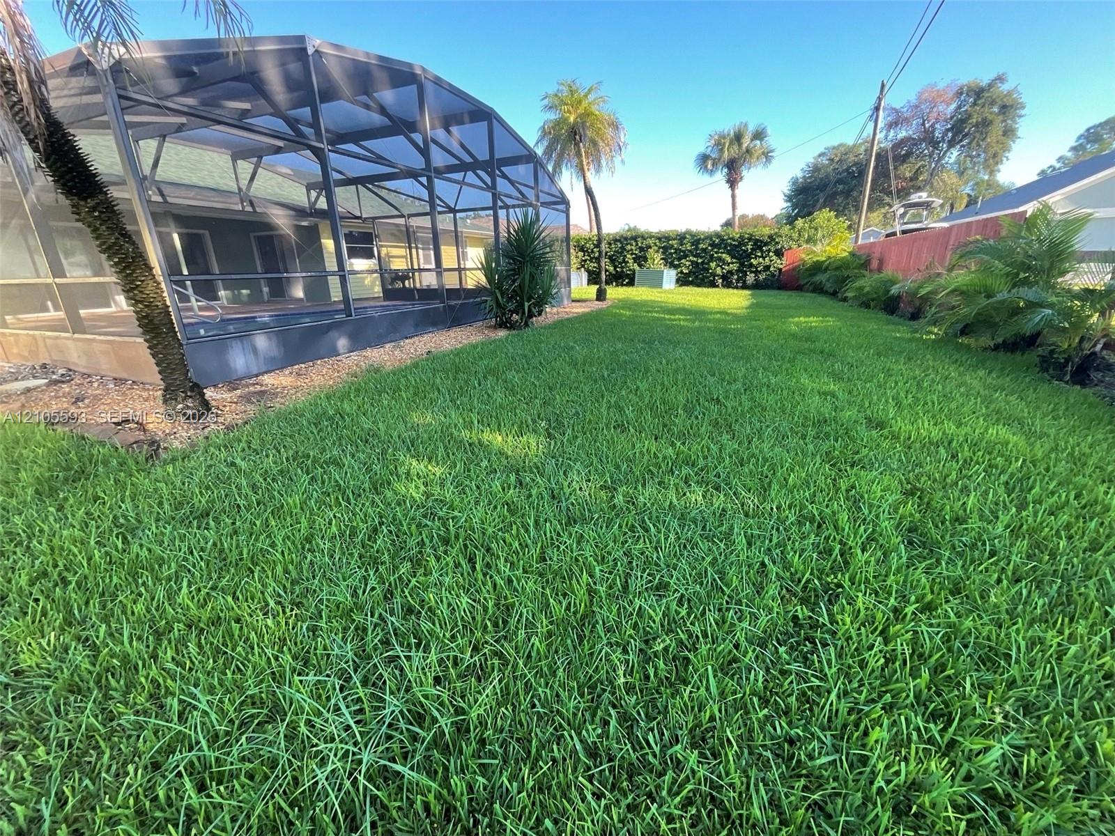 Expansive backyard featuring a screened-in lanai, manicured lawn, perimeter hedge, and mature palm trees