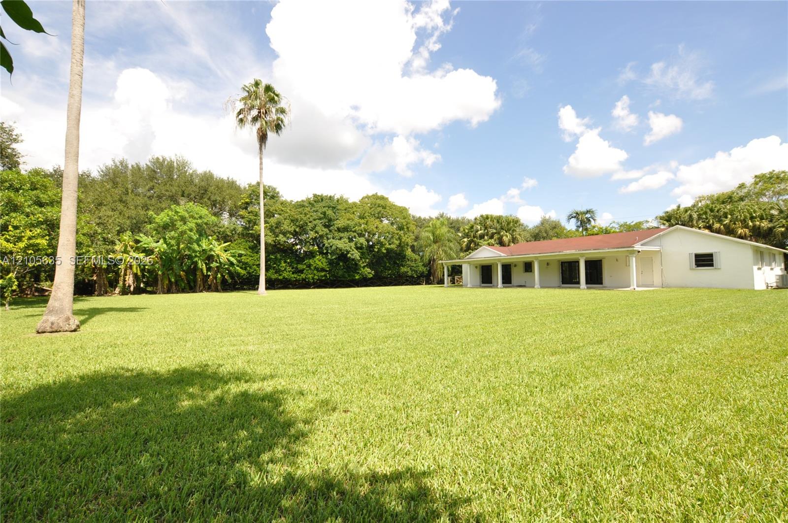 Expansive lot featuring a manicured lawn, mature trees, palm trees, and a residence with a covered patio
