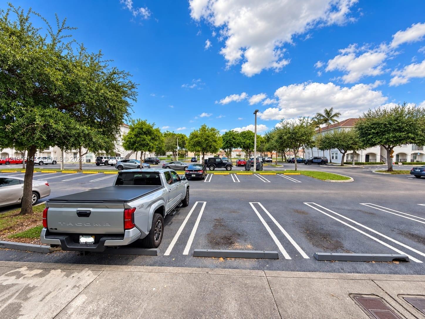 Paved surface parking lot featuring designated stall markings, concrete wheel stops, and mature landscaping