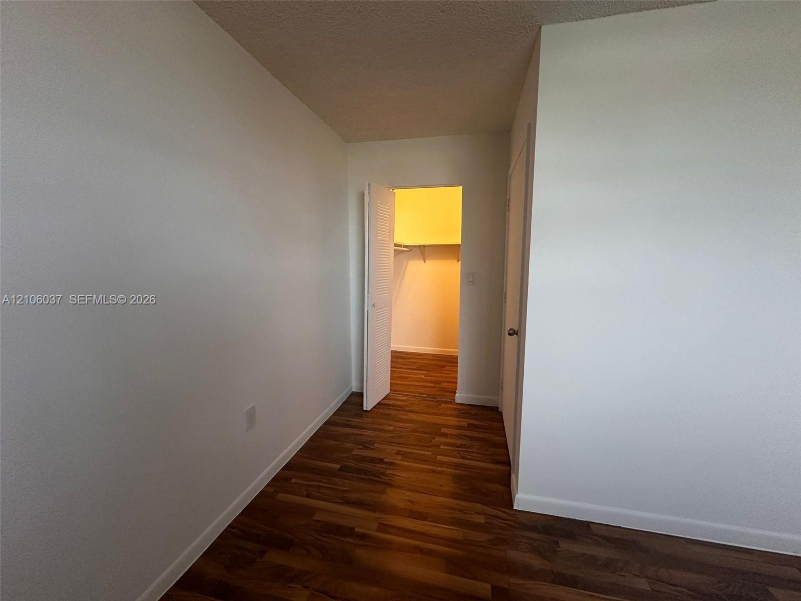 Wood-finish flooring, neutral walls, and a walk-in closet with built-in shelving