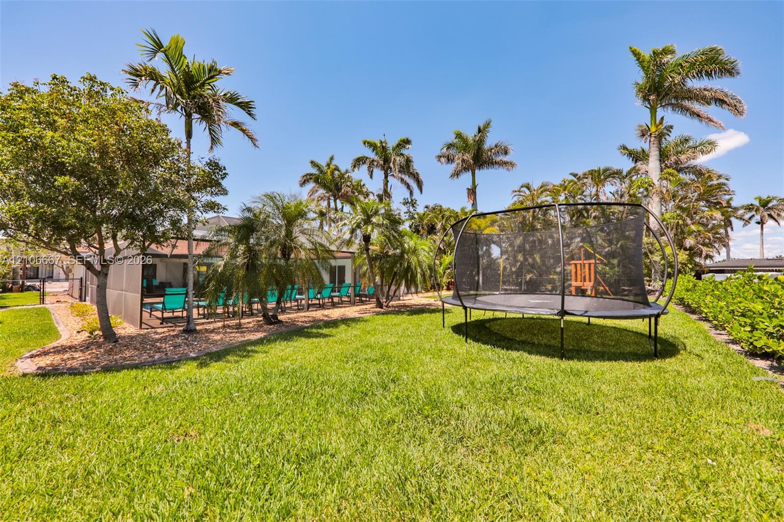 Backyard space featuring a manicured lawn, mature palm trees, perimeter shrubbery, and a screen-enclosed patio area
