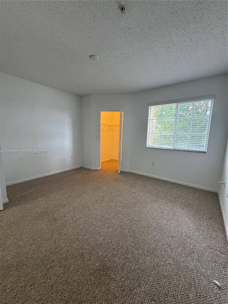 Room featuring neutral-toned carpeting, textured ceiling, a walk-in closet with built-in shelving, and a single window with horizontal blinds